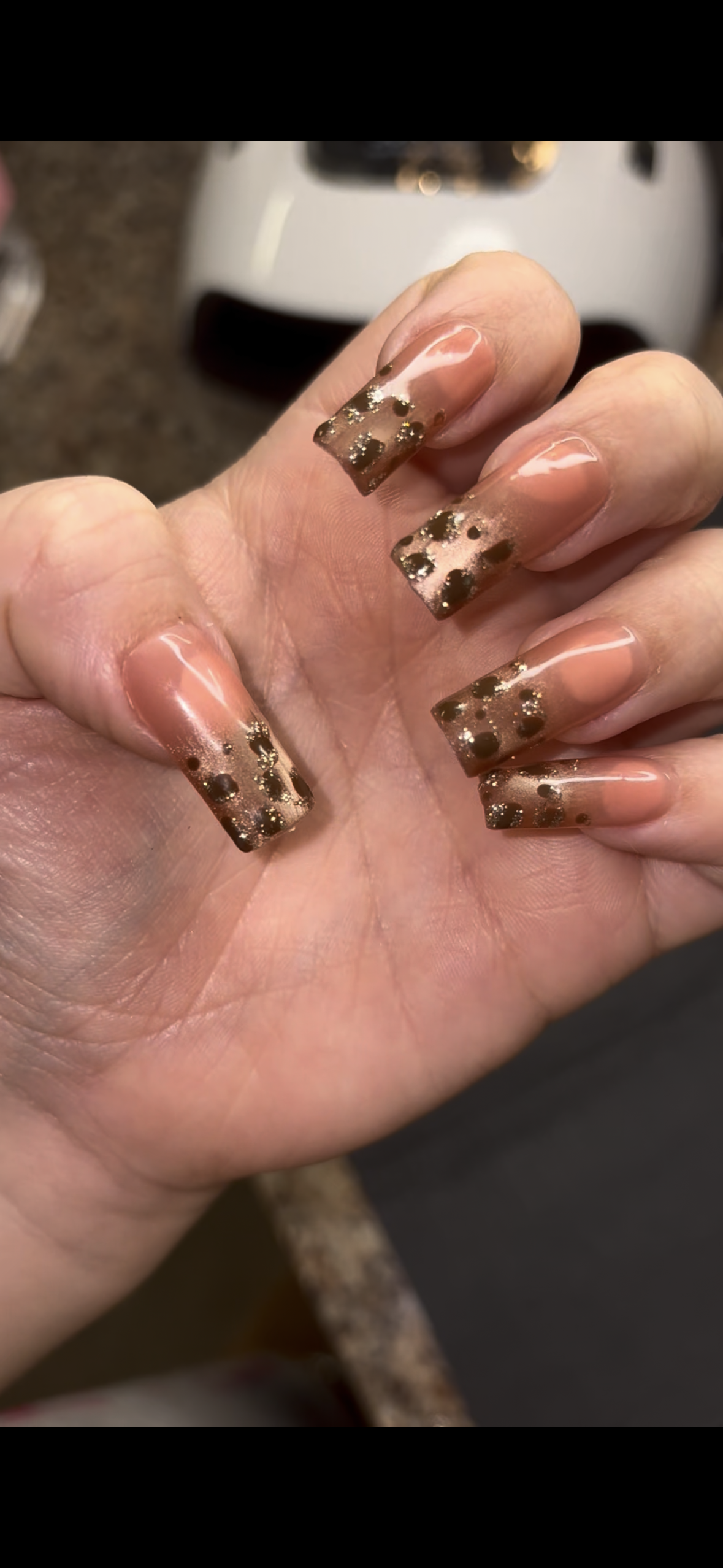 Brown Cat eye