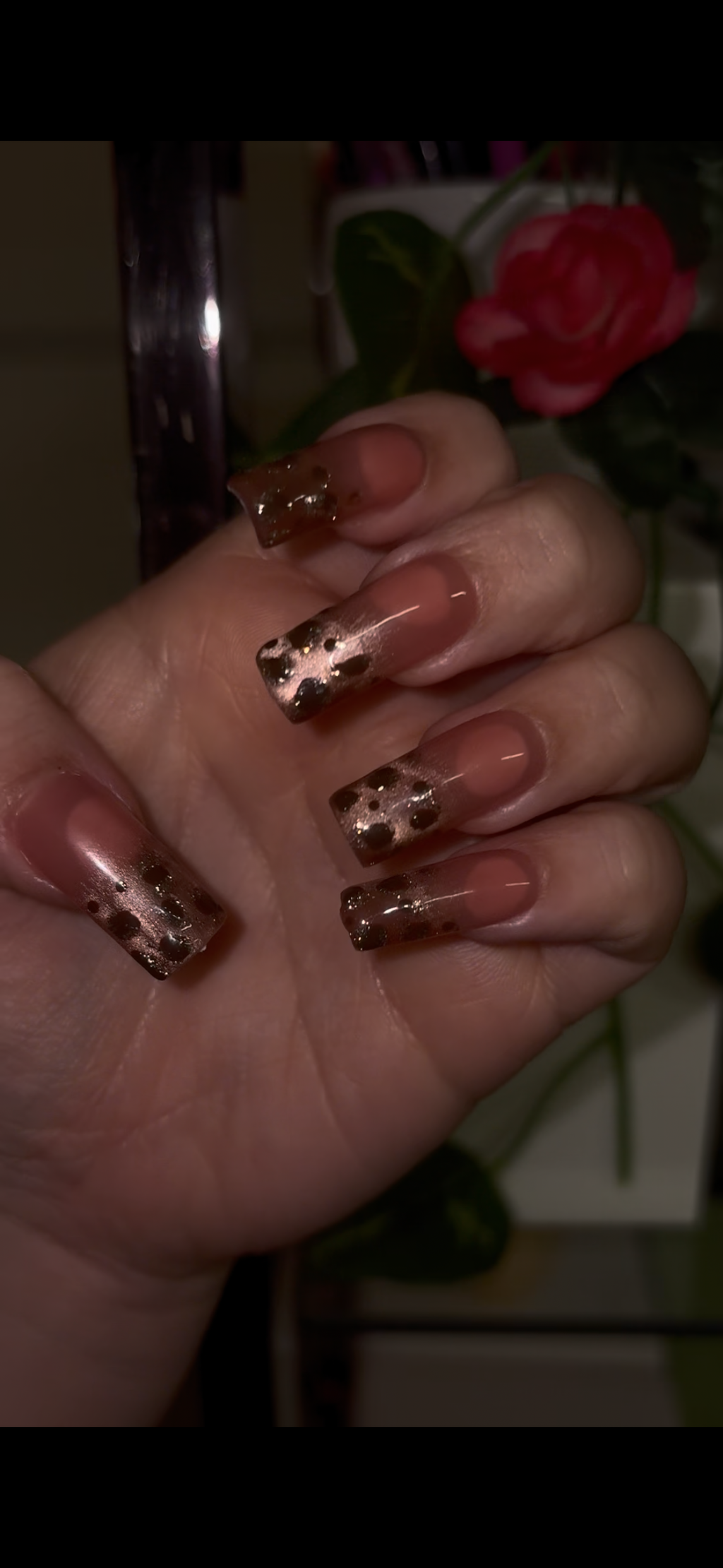 Brown Cat eye